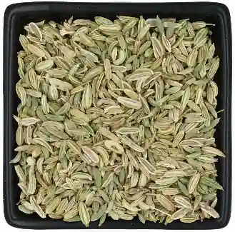Fenchel Ganz