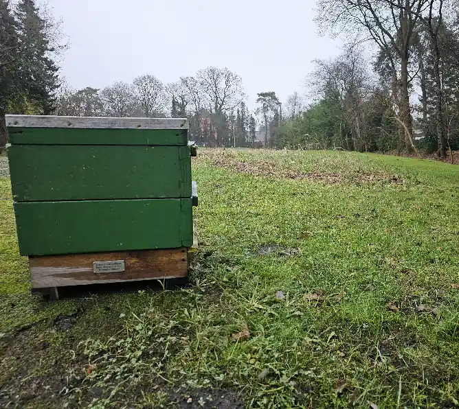 Patenvolk vor Blühwiese