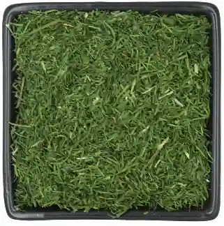 Dillspitzen